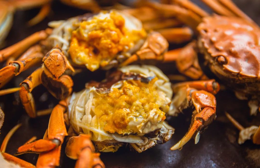 湖蟹和塘蟹测评,阳澄湖塘蟹和湖蟹哪个好