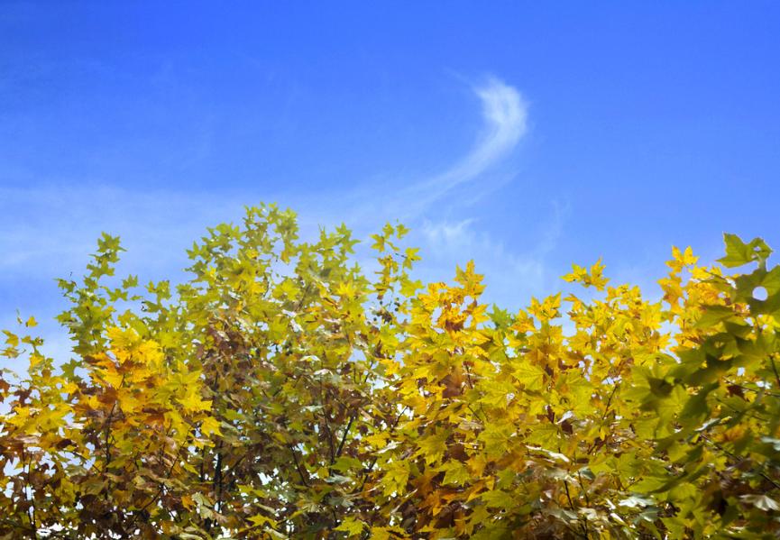 唐朝七律第一大家,唐朝七律中最优秀的作品