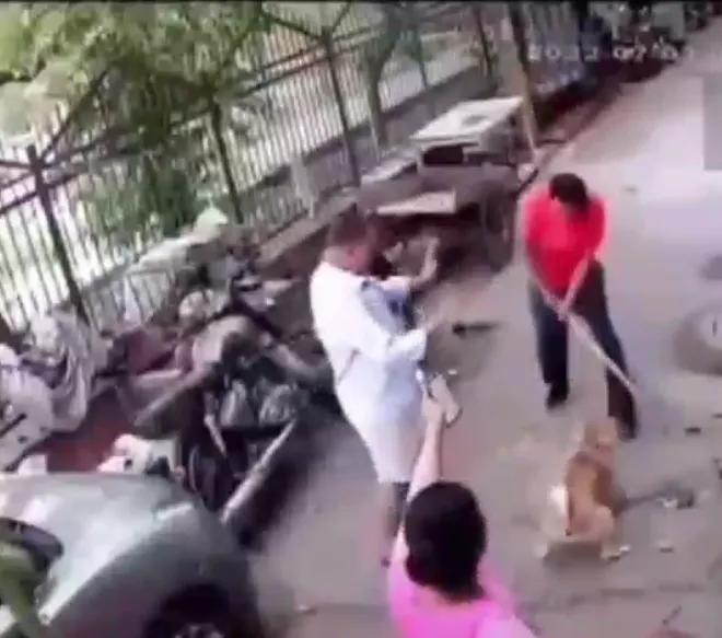 触目惊心，狗患何时休？