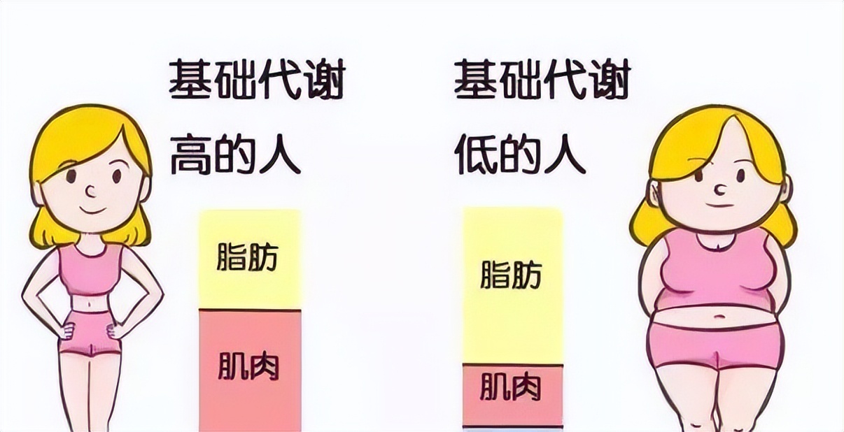 代谢低瘦得慢怎么提高代谢,代谢差体重不减怎么办
