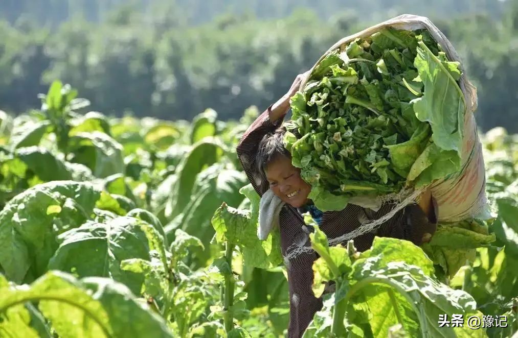 河南哪里地下宝藏最多,河南深山文物