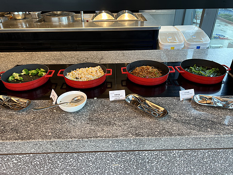 窗含西岭千秋雪成都环球中心雪山,窗含西岭千秋雪魅力成都