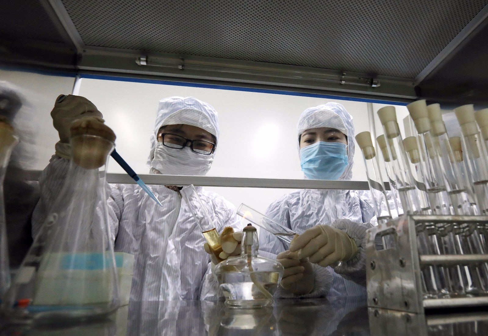 餐厨垃圾养殖蟑螂怎么拿补贴,山东养殖蟑螂解决餐厨垃圾