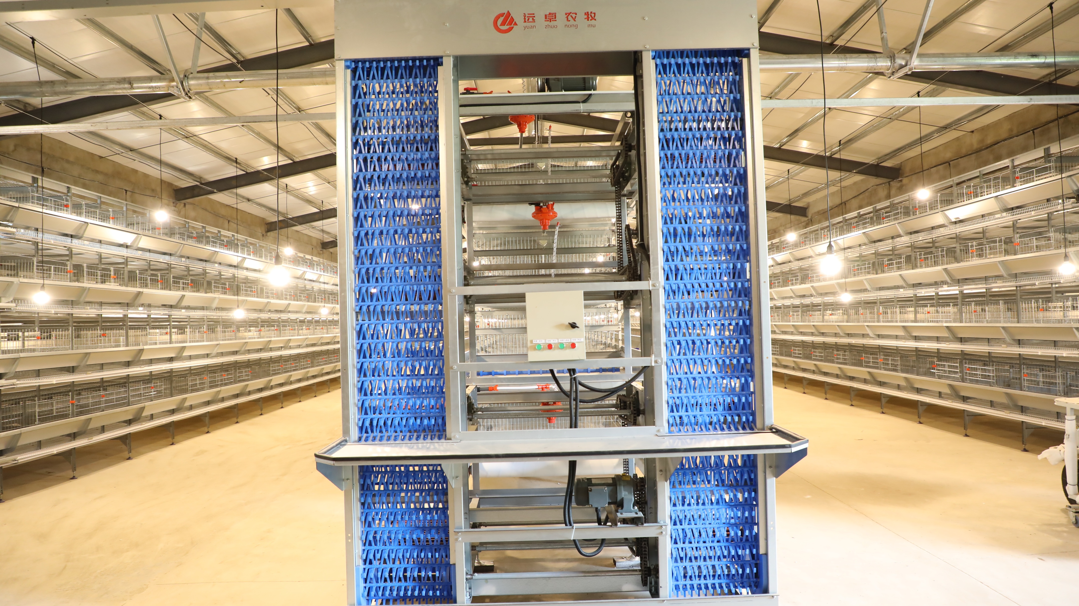 如何建高效养鸡场,养鸡场建设的基本布局