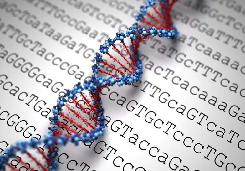 阴毛变白是肾虚吗？