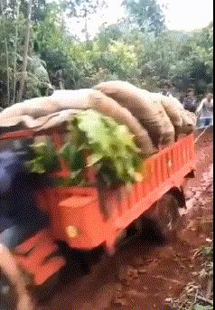 虽然我不会去纹身，但这些纹身确实有点意思：把肢体变成尺子