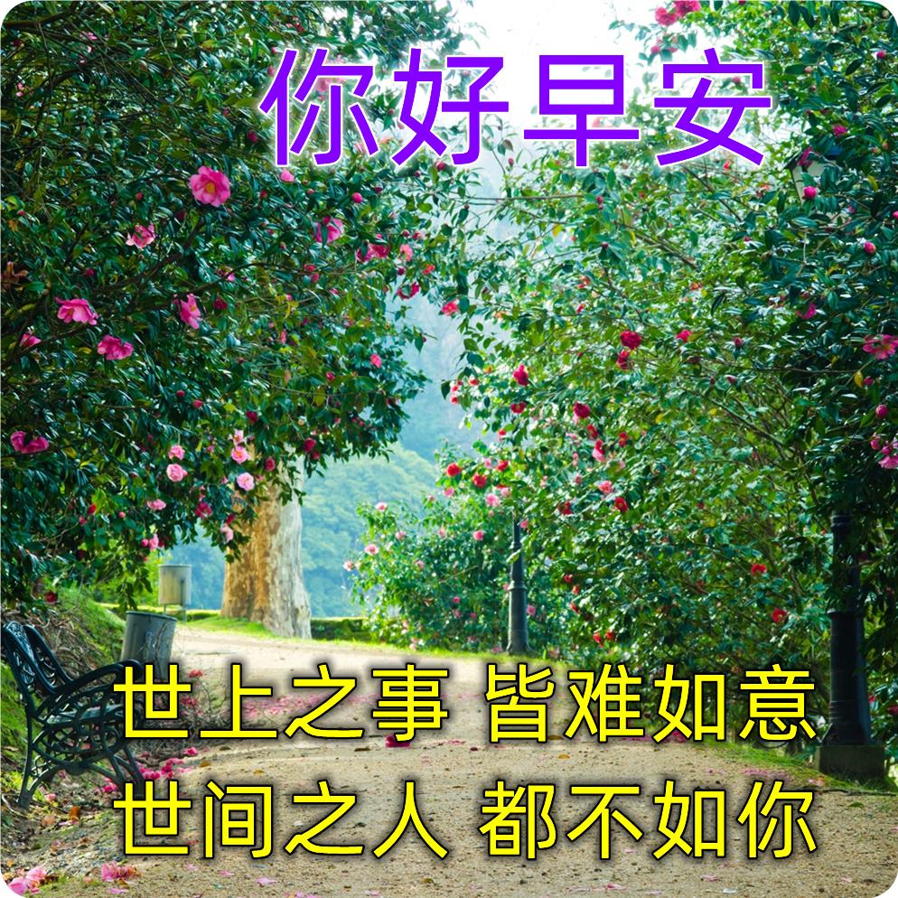 早上好最漂亮问候语动态表情图片,最美早安问候图片带字动态