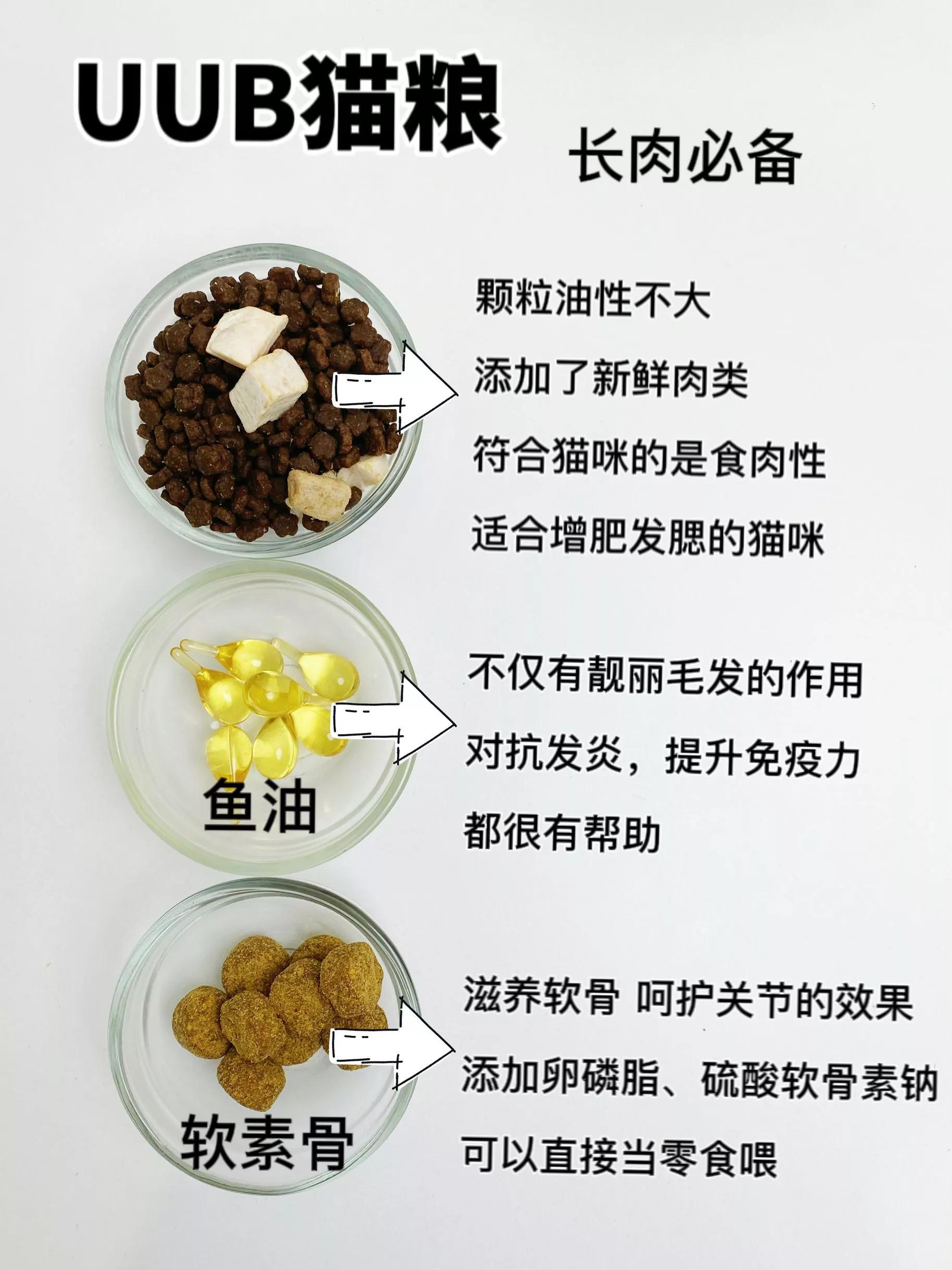 自用猫粮分享新手选粮不踩雷,猫粮囤货现场