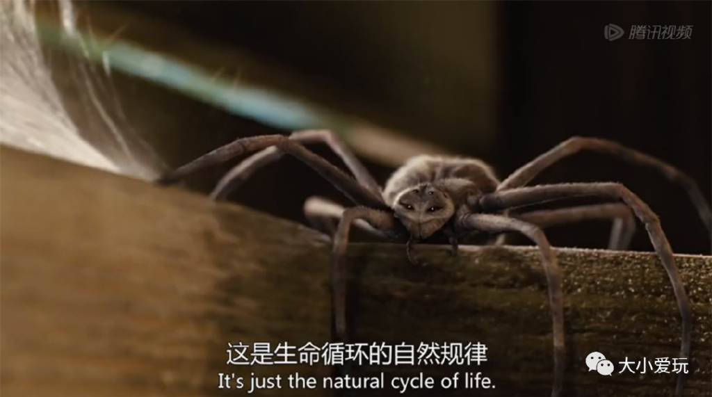 精心盘点五部冷门治愈电影,推荐几部让你笑喷的经典高分电影