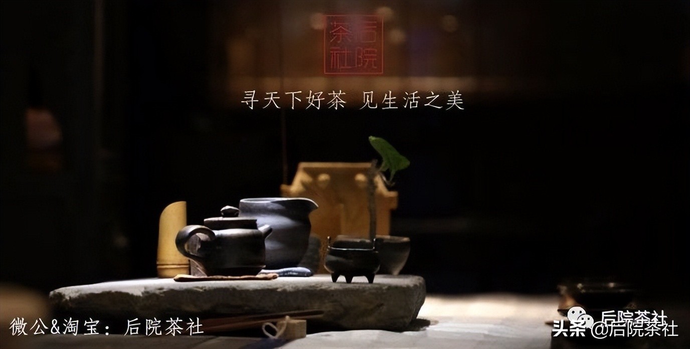 茶叶回甘原理图解大全,深度讲解茶的回甘