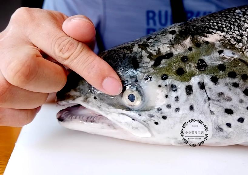 生吃三文鱼后怎么杀掉寄生虫,三文鱼能生吃吗有寄生虫吗