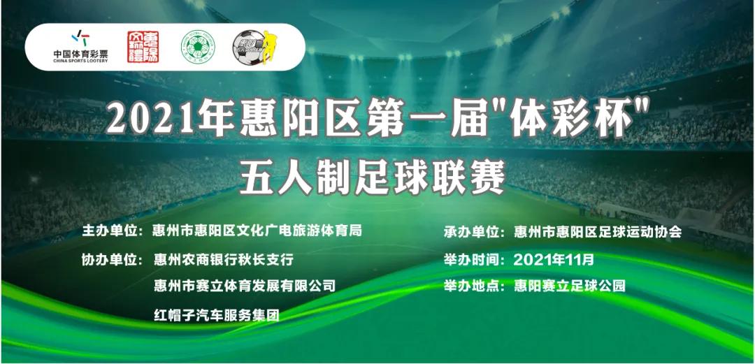 竞技绿茵逐梦,竞技绿茵场