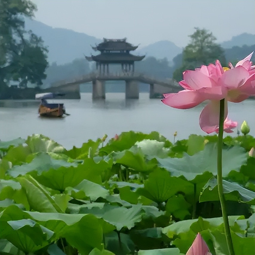 杭州购物攻略必去的地方,杭州打卡必去的地方