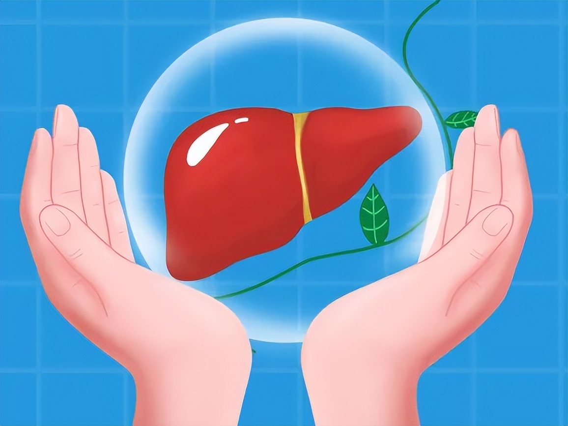 食品中的智商税有哪些类型,被吹上天的10种食品别交智商税了
