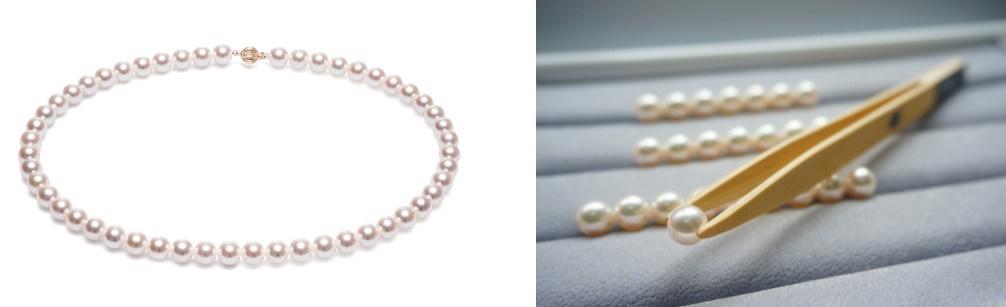 世界杯历史上最昂贵的比赛,最贫穷的世界杯