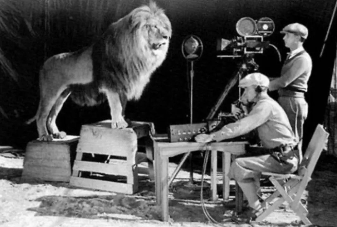 罕见的自然场景,罕见的一幕