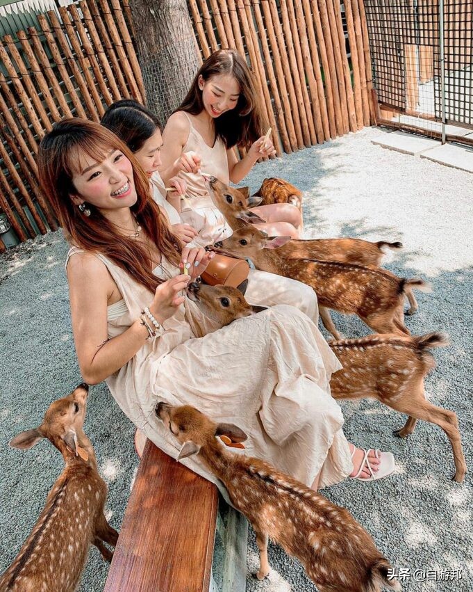 宜兰旅游攻略景点推荐理由,宜兰县一日游攻略