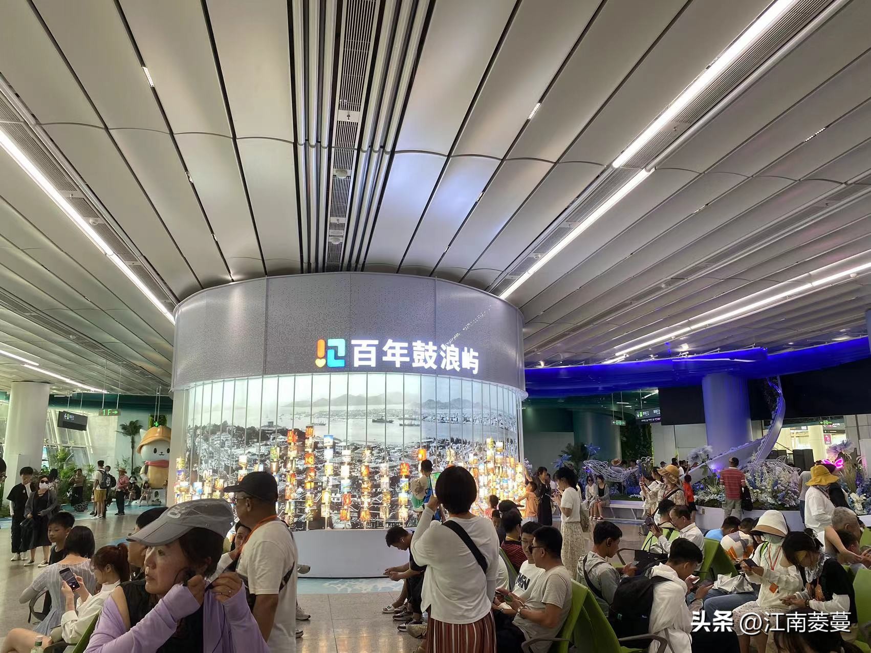 为什么那么多人选择去厦门旅游,浙江海岛和厦门哪里值得去