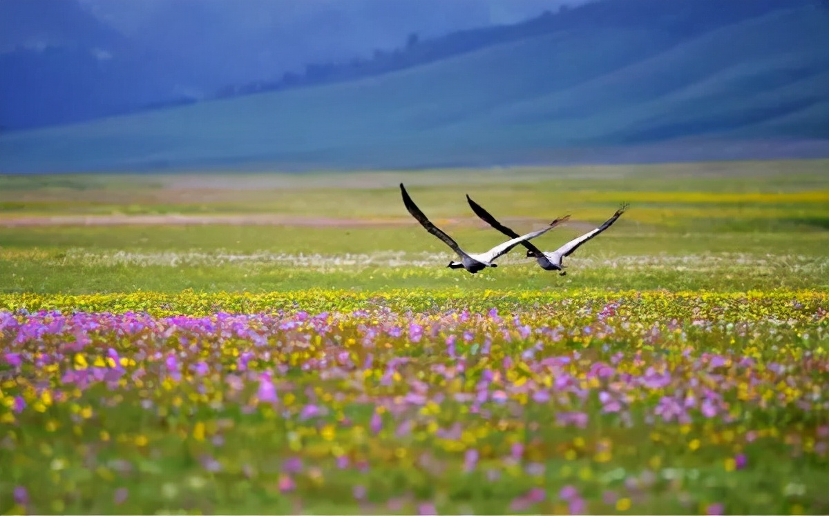 这条惊艳奇绝的公路,行走在天山脊梁上的最美景观公路