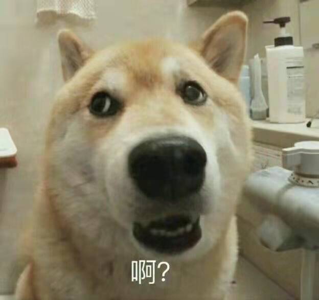 菲尔顿之冬天狗狗一直发抖？六大原因，可能是在向你求救