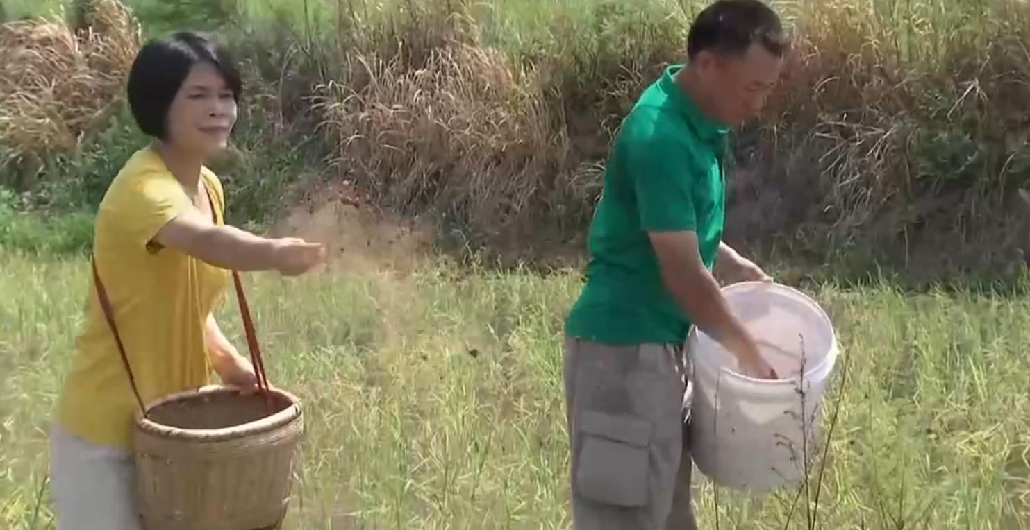 90鍚庡コ瀛╄繑涔″垱涓氱灏忕ɑ,90鍚庤繑涔″垱涓氬ぇ瀛︾敓绉嶆姘寸ɑ