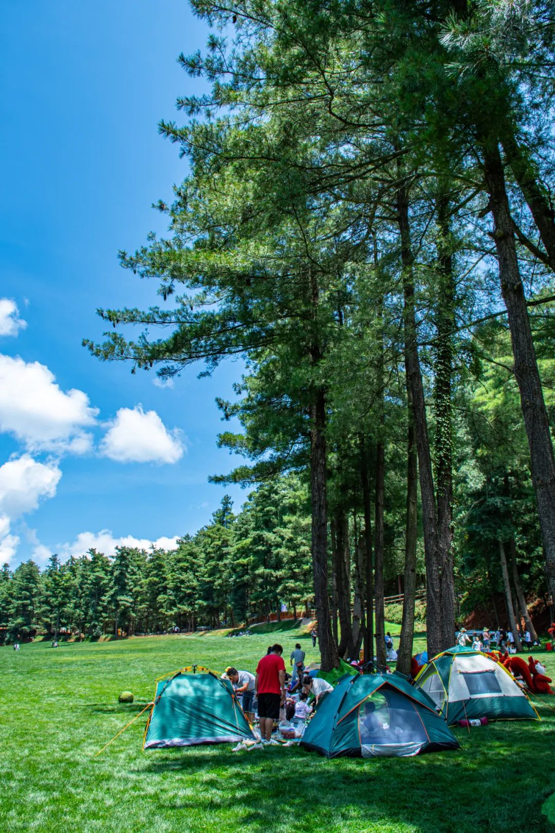 昆明国庆周边游露营,昆明春游露营的地方