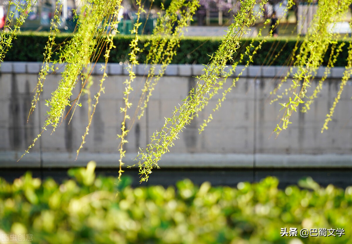 散文春天的风,散文春天的畅想