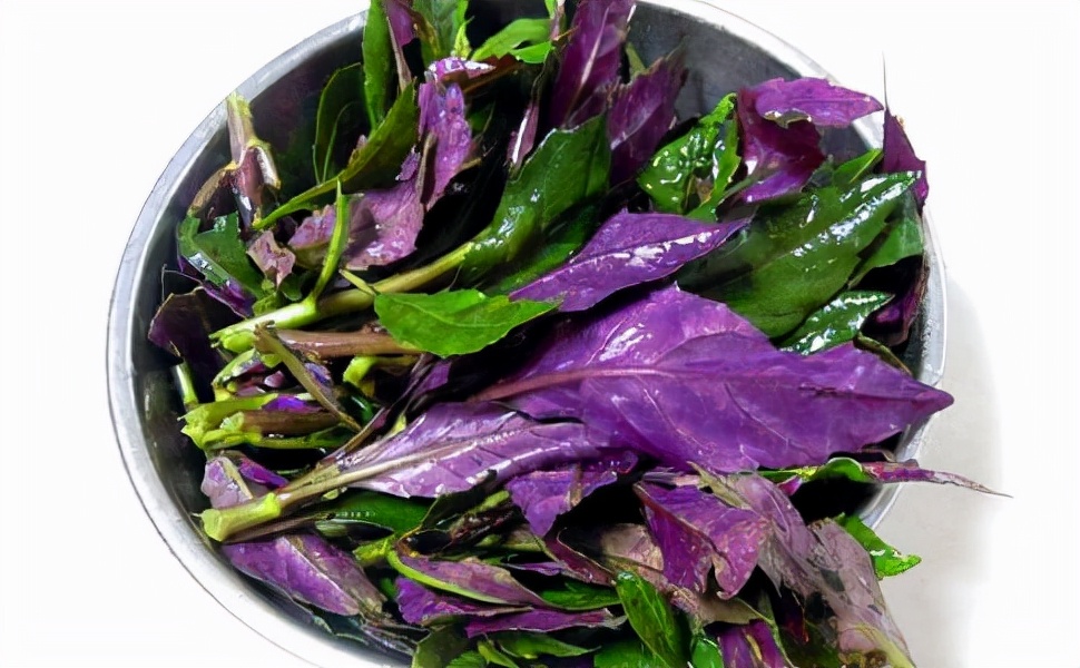 野菜100种大全,能吃的100种野菜大全