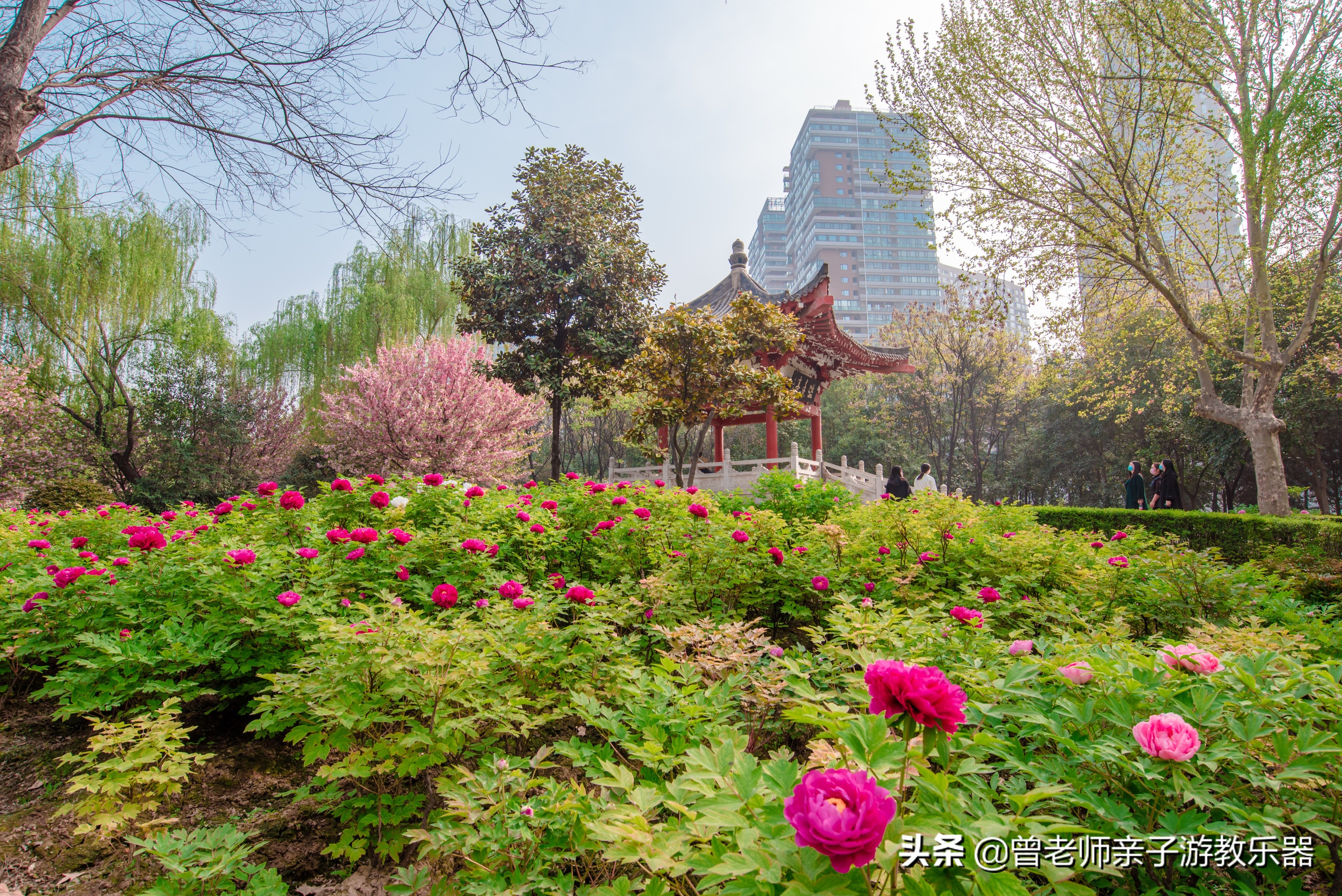 2022西安遛娃一日游的绝佳去处,2022年春节西安遛娃去哪玩最合适