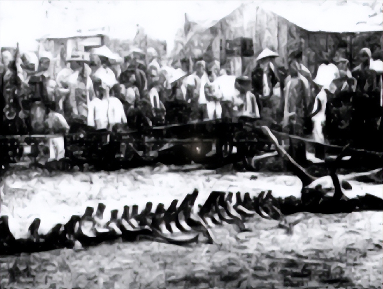 高邮湖出现罕见龙吸水,2007年高邮湖出现龙吸水奇观