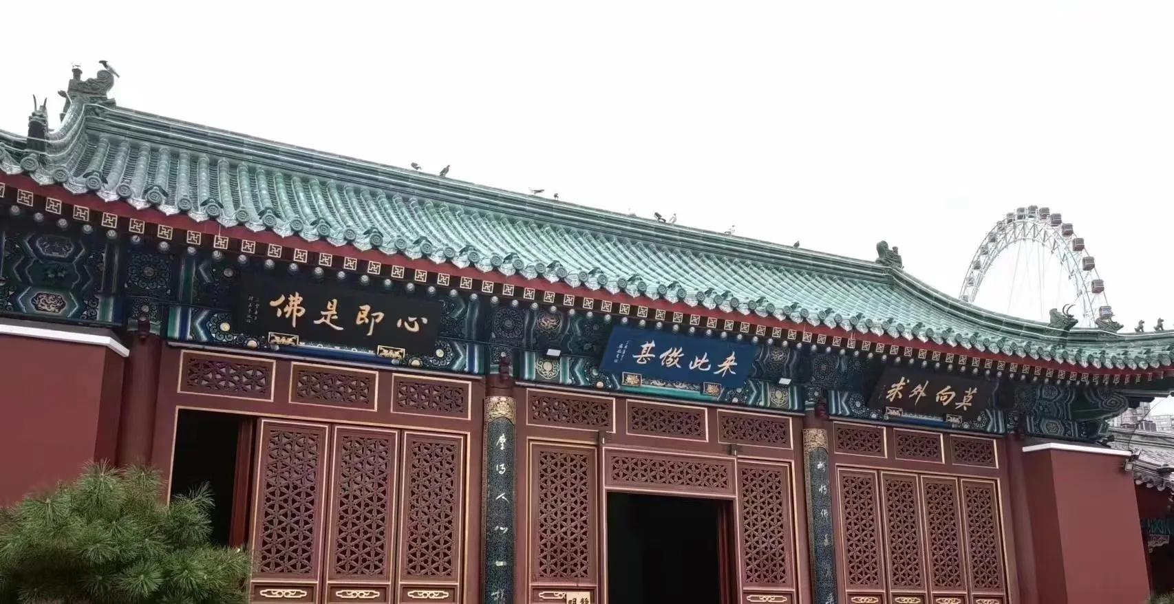 玄觉禅师：一宿觉者