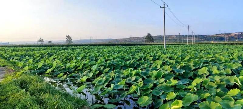 5.19中国旅游日|中华喜城宰相故里——山西·闻喜