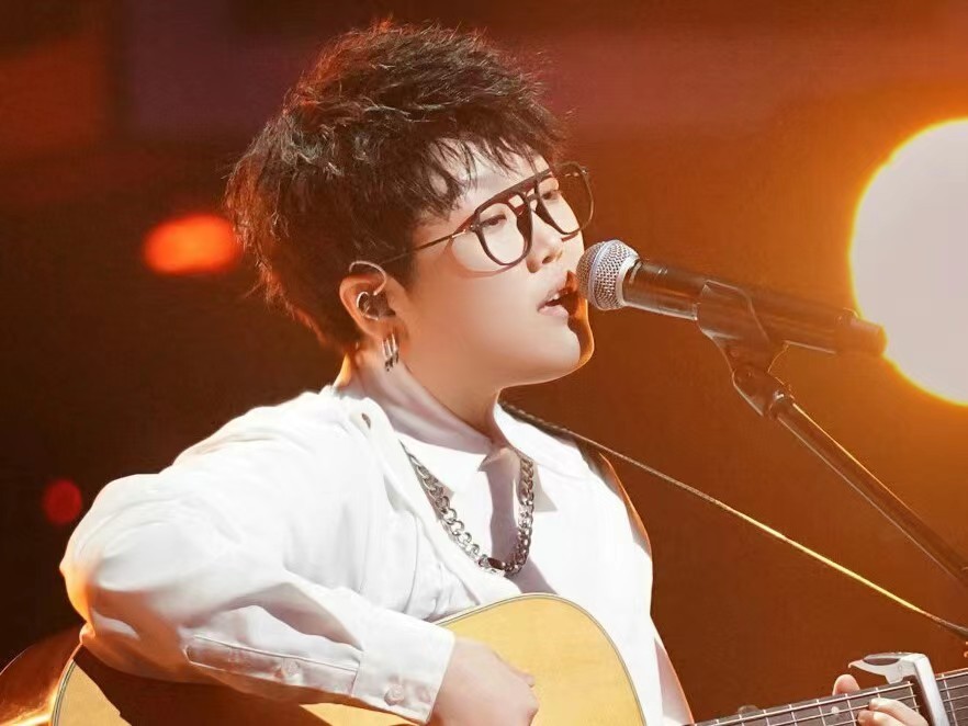 综艺邓紫棋凤凰传奇,王靖雯潘玮柏一块参加的综艺