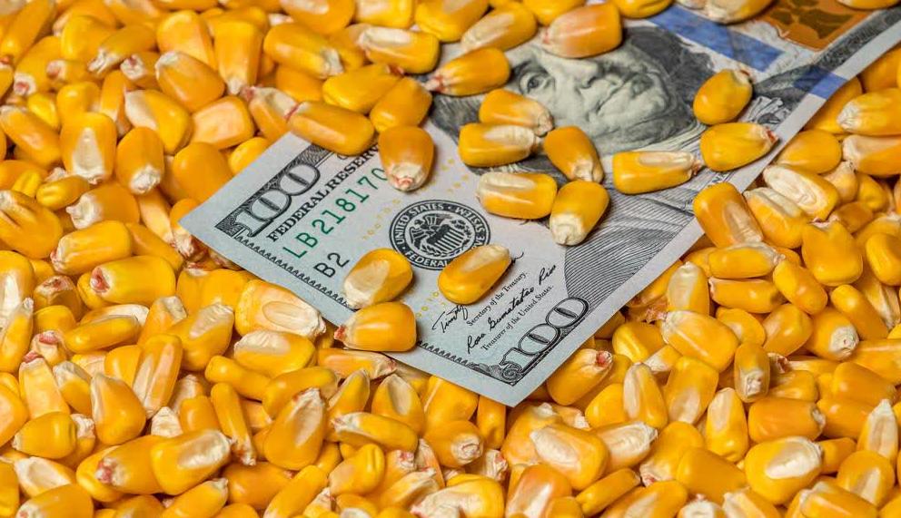 美菲共同防御条约外交部,美菲共同防御条约废除