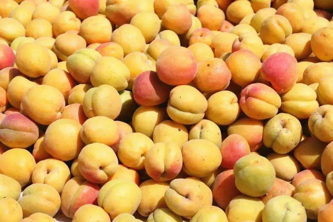 速收！兰州出发，临夏太子山旅游大通道及3-5日大环线自驾游攻略！