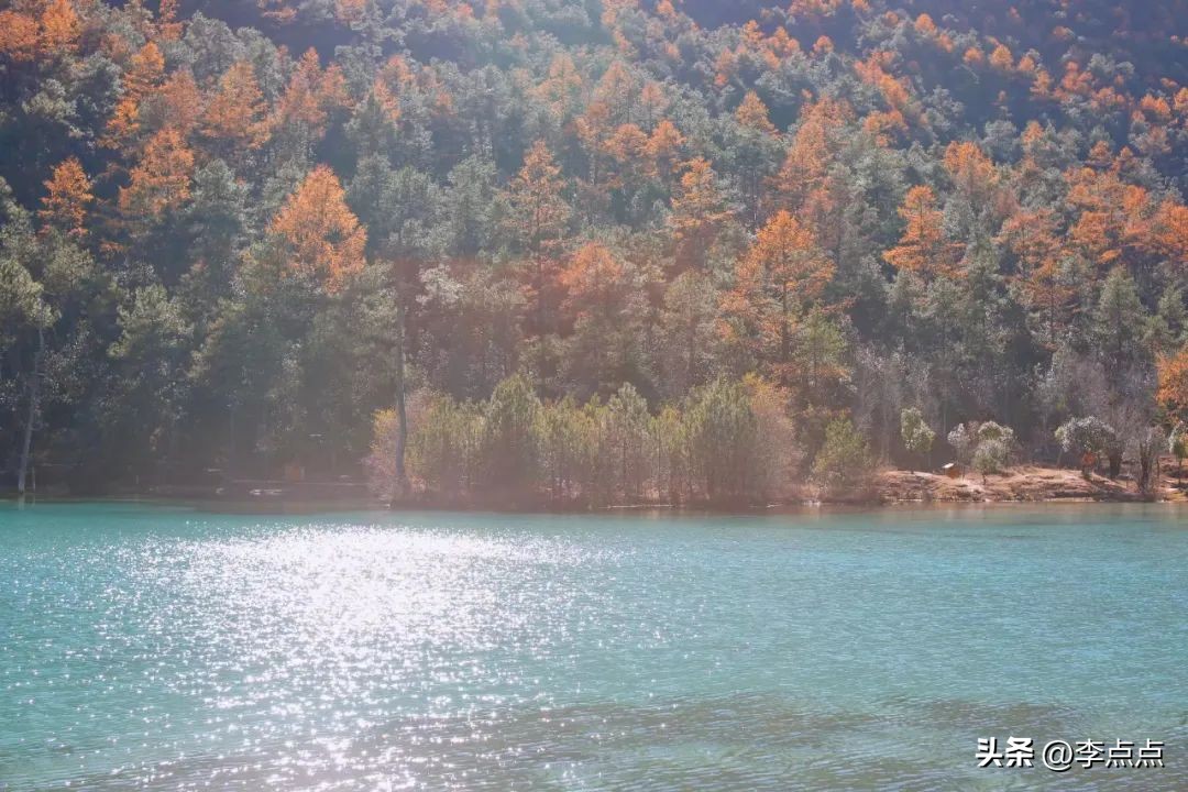 云南旅游疫情最新政策,云南旅游团疫情最新消息