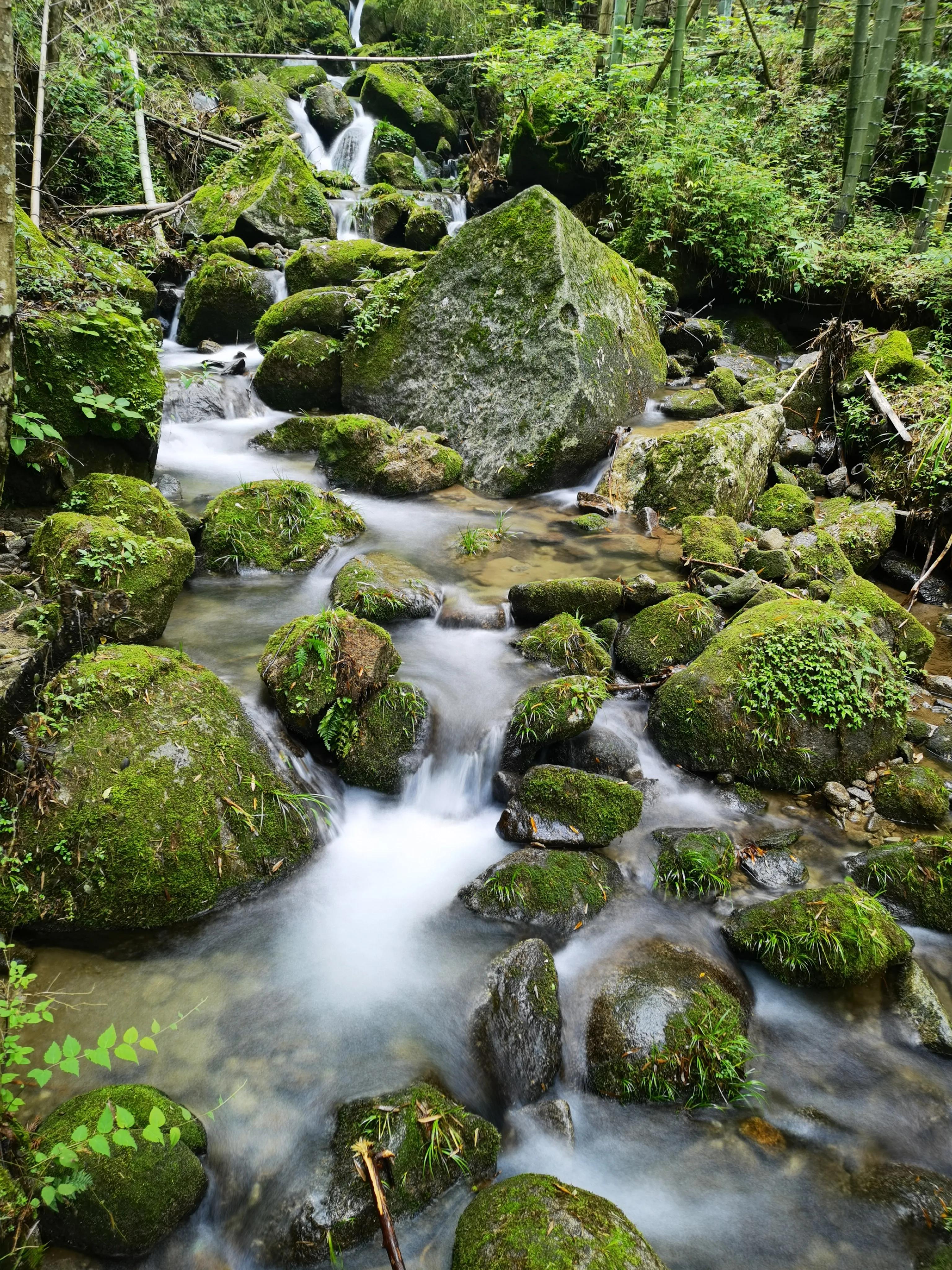 浏阳大围山森林公园浏阳河源头,大围山杜鹃花在哪个景点看