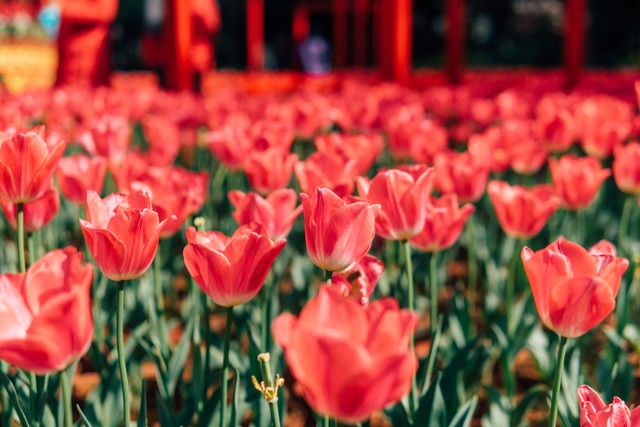 谋生赚钱和养生的能力,人生要先学会挣钱再学会养生