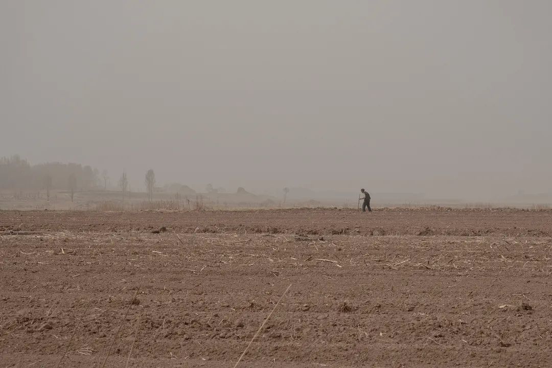 迎接党的20大美术作品,喜迎二十大乡村摄影展