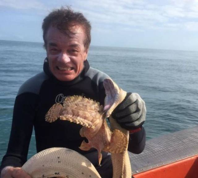 80张神奇偶然瞬间，环形闪电，海蛇和最毒石斑鱼互咬，骑骆驼拍照