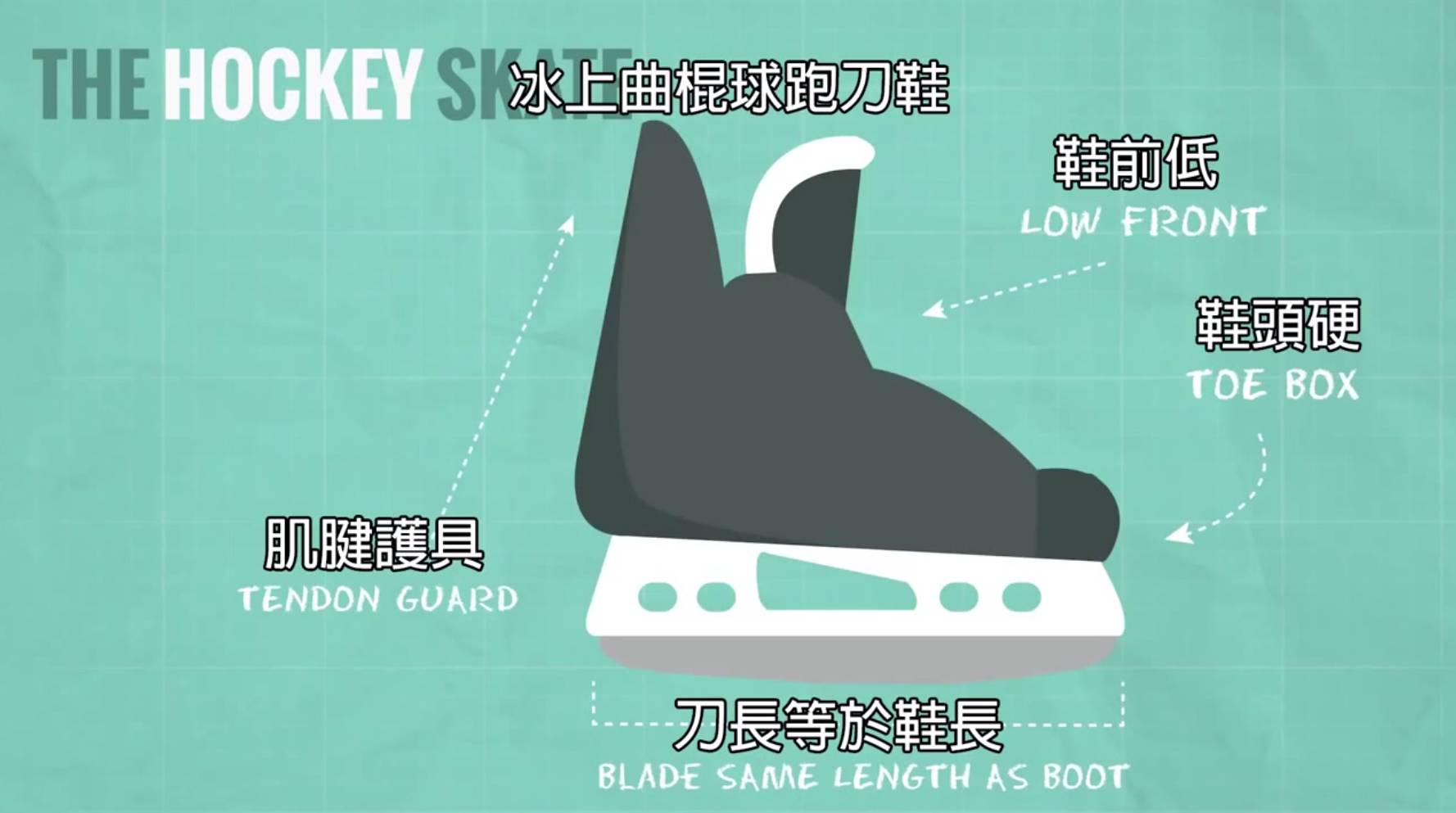 北京冬奥会速滑设备,冬奥会冰刀速滑视频