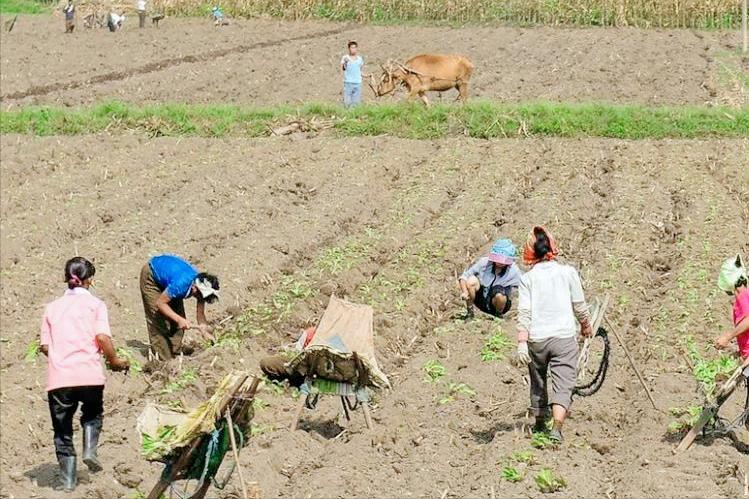鑸瑰埌鏈濋矞鍗歌揣,鑸瑰埌鏈濋矞