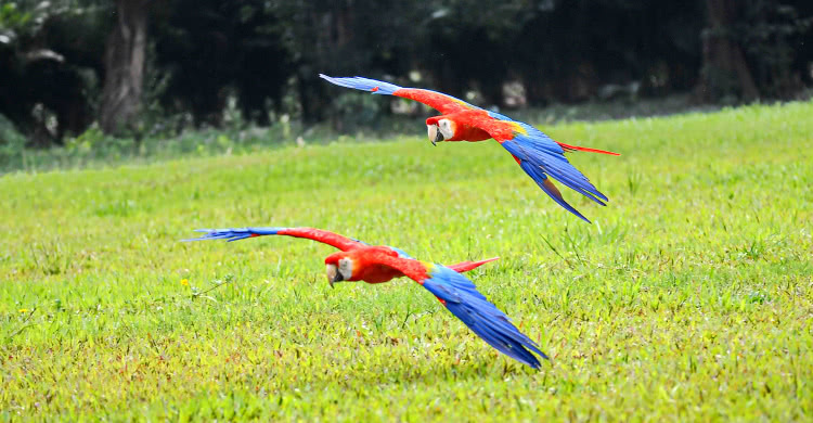 广州长隆酒店童趣乐园,广州游玩长隆性价比超高的酒店