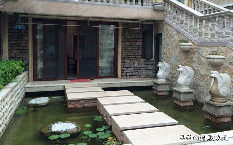 鱼池水质不好怎么处理,庭院鱼池水绿了怎么办