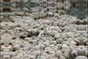 金融圈年终总结表情包,2023金融圈年终总结表情包版