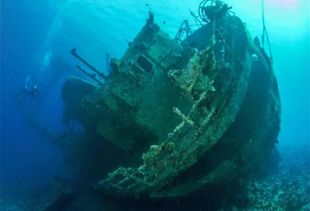 尼克松访华送给中国什么树,尼克松送给中国的礼物