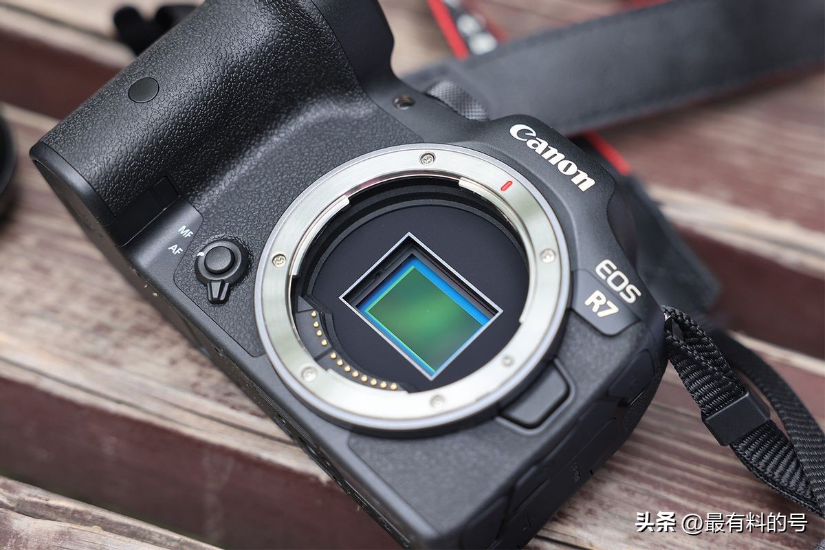 视频和照片拍摄双修的五款微单：索尼、佳能、富士、松下怎么选？