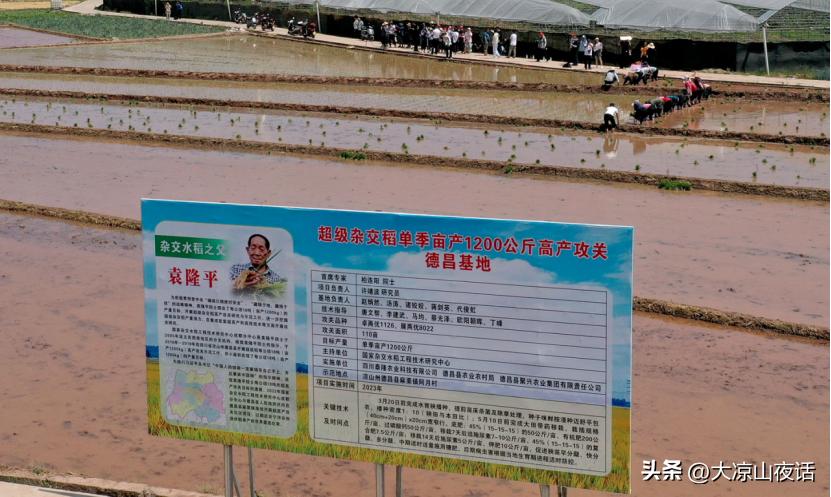 遇见美丽大凉山,遇见美丽大凉山完整