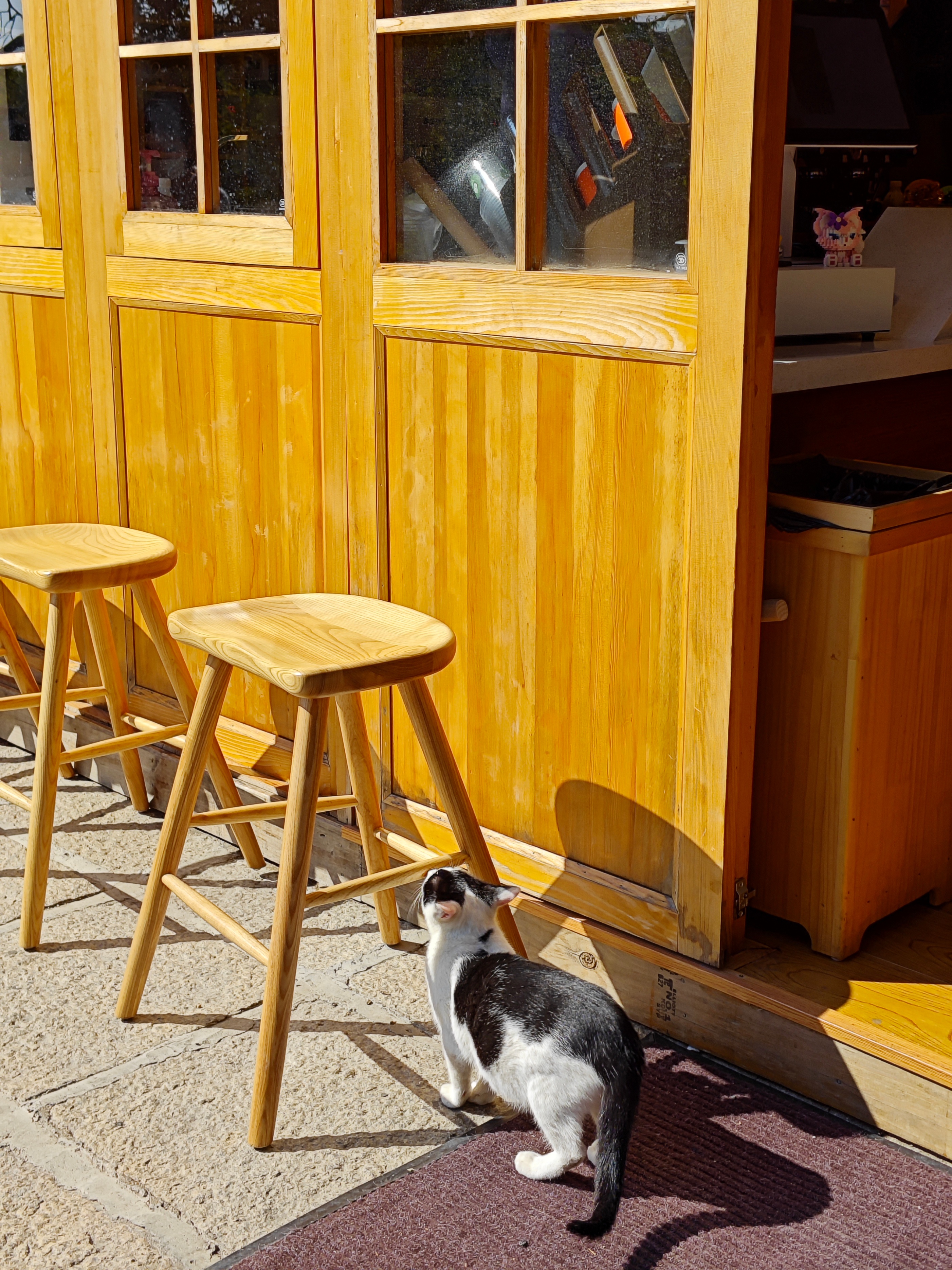 厦门南普陀春联什么时候贴最好,厦门人春节去哪