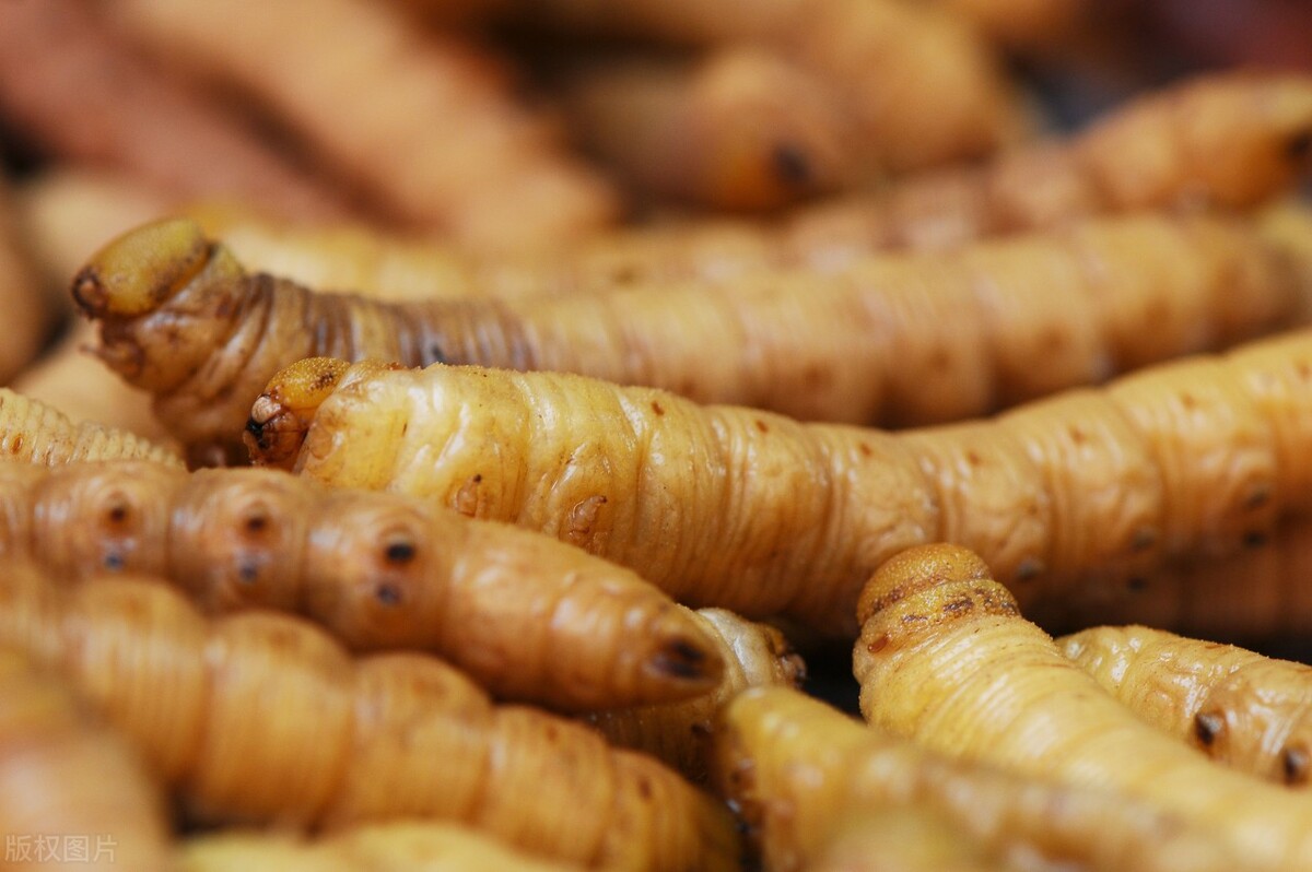 中国最著名十大小吃街及特色美食,全国必吃街排行榜